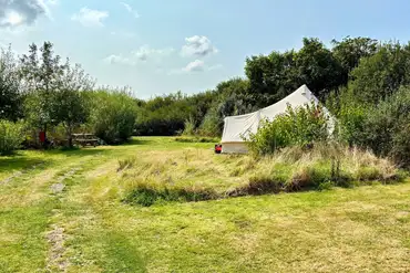 Non electric grass pitch with picnic bench