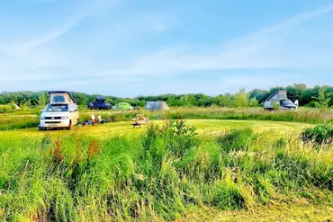 Non electric grass pitches separated by wild grass at Little Haven Campsite