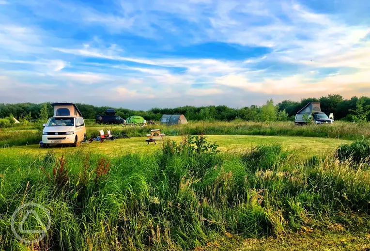 Non electric grass pitches separated by wild grass at Little Haven Campsite