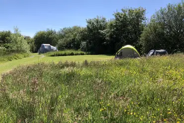 Non electric grass pitches on the hedgeline and separated by grass