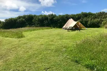 Hedgeline Camping pitch