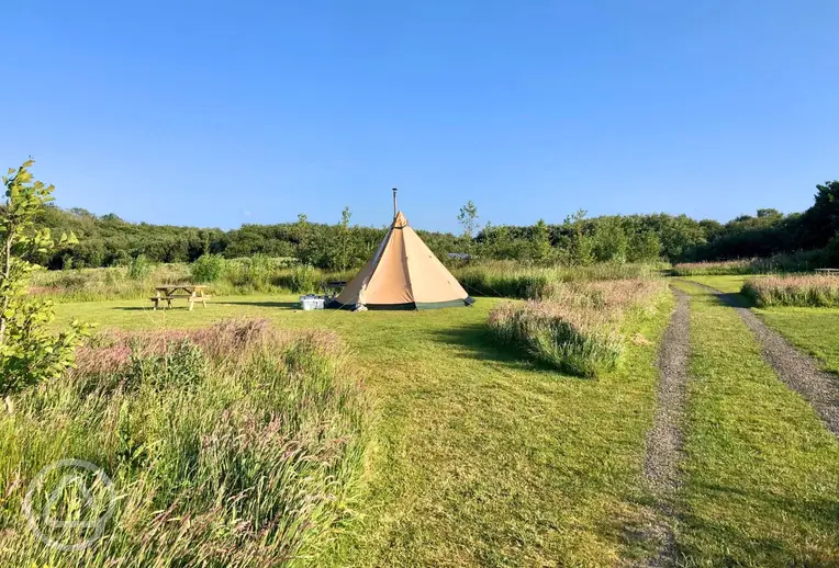 Non electric grass pitch in the meadow
