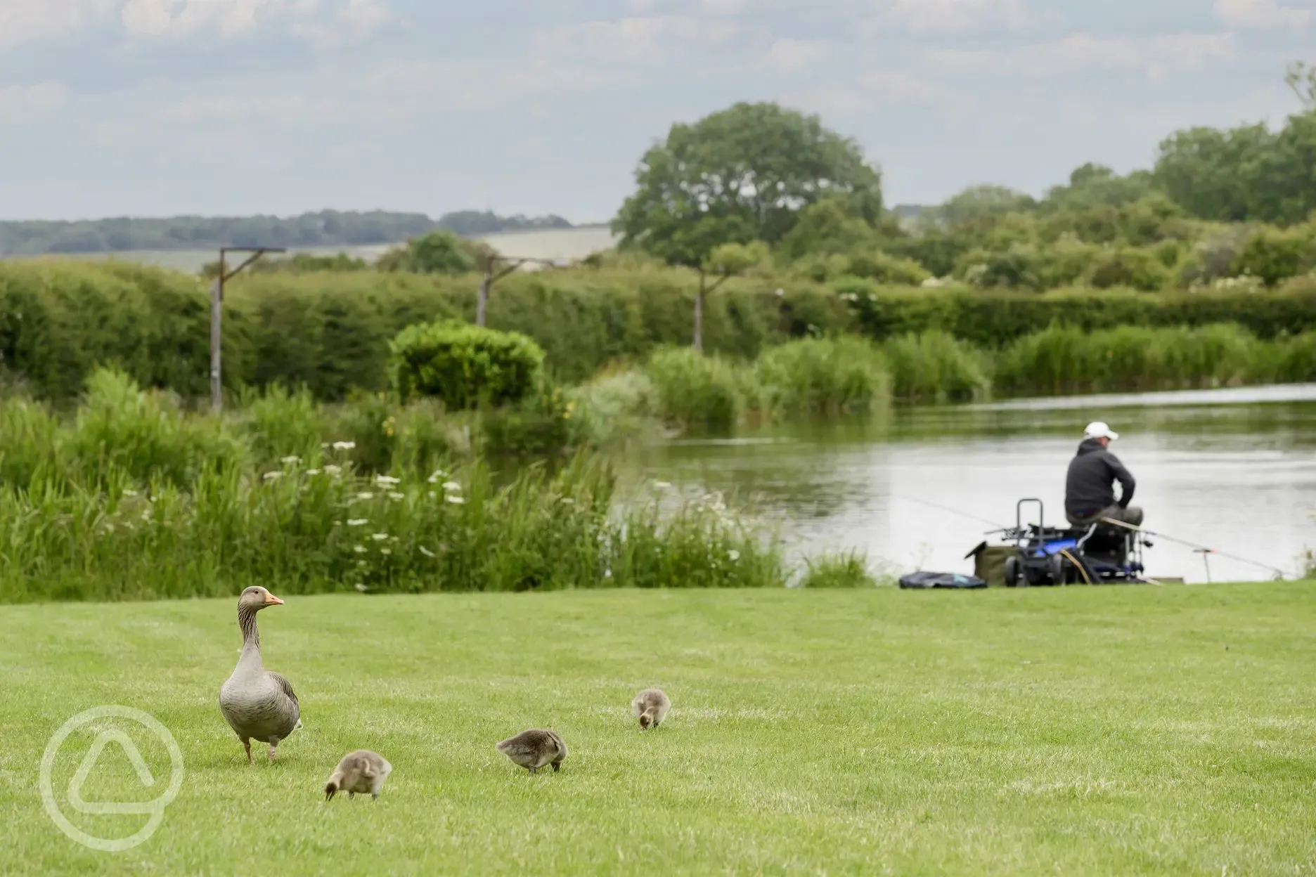Onsite fishing lakes and wildlife