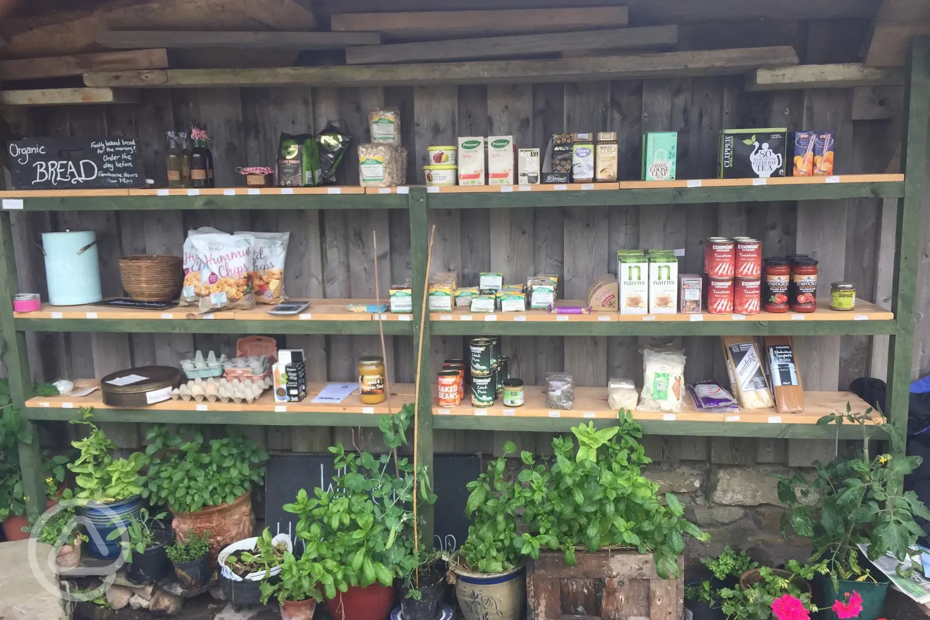 Shop and herb garden