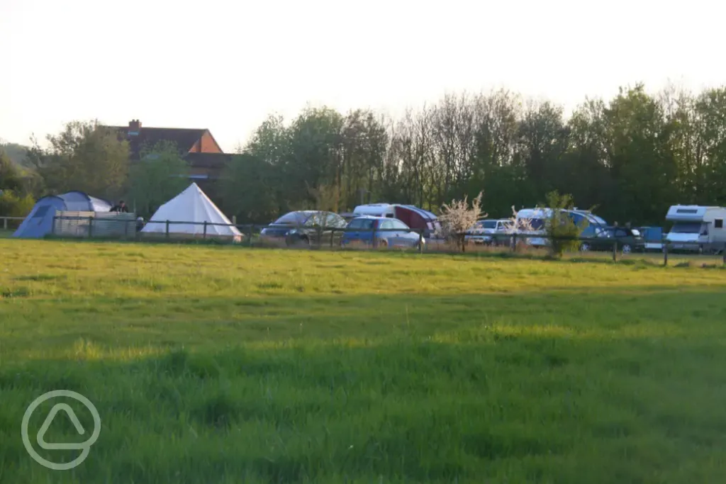 Cars caravans and tents at Wigrams