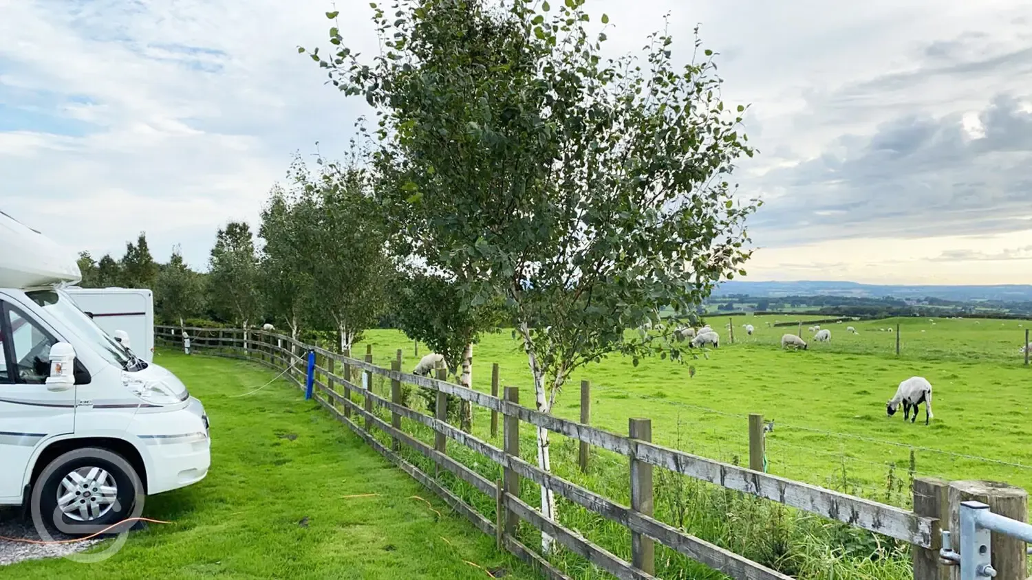 View out to farm