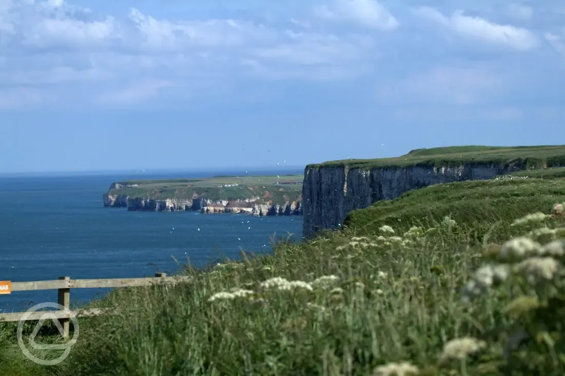Views of Flamborough Head