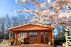 Woodpecker cabin with a blossom tree Woodpecker cabin with a blossom tree