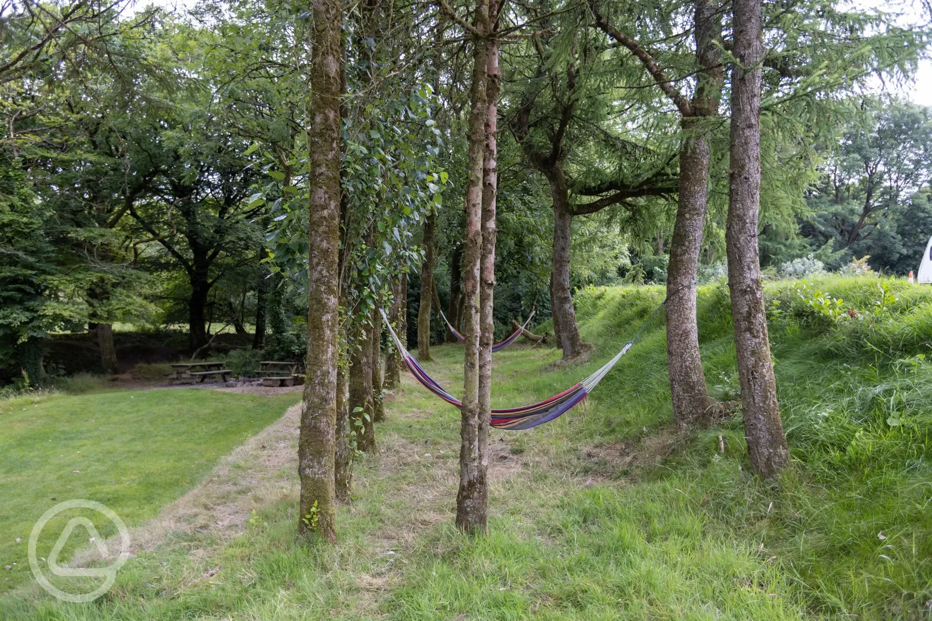 Hammock by the river