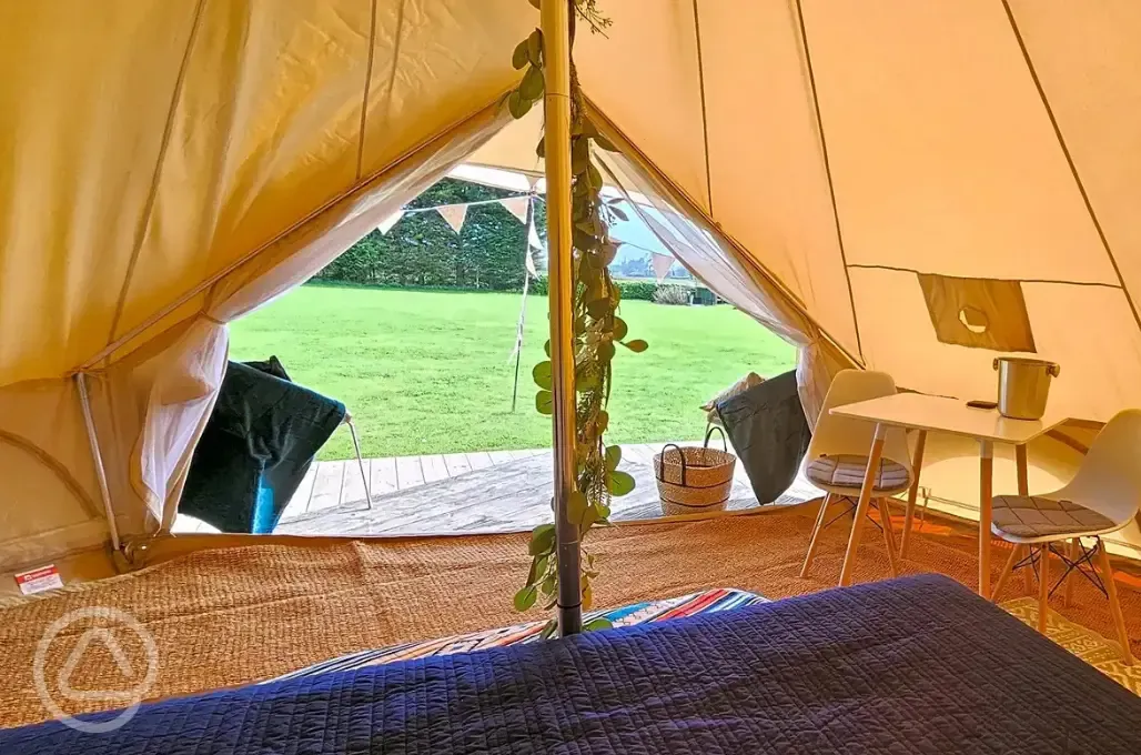 View from bell tent