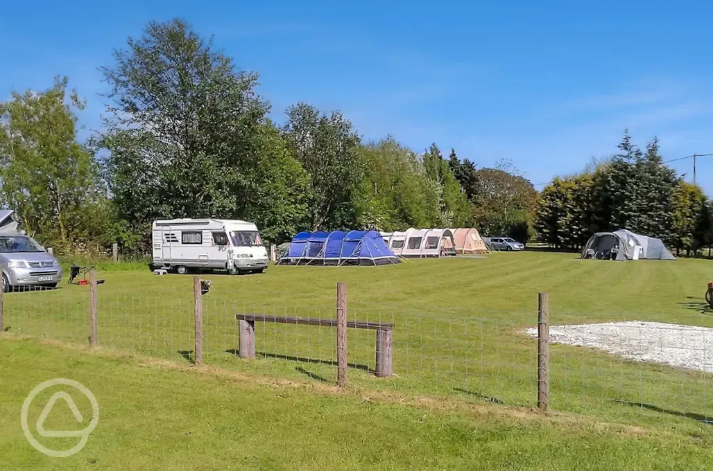 Electric grass pitches