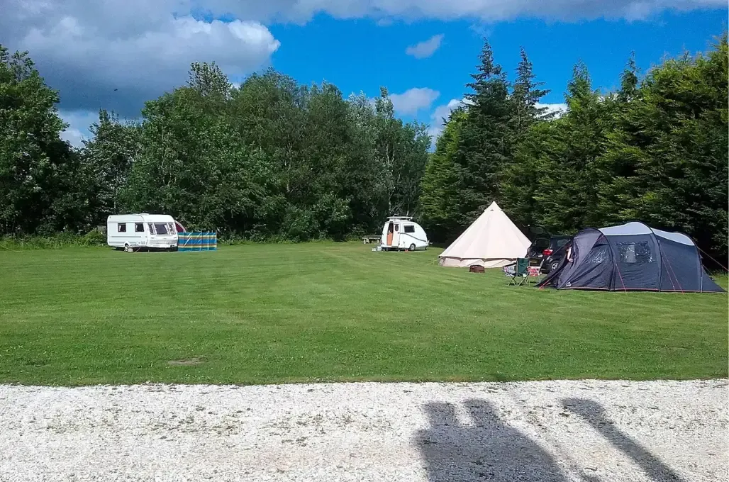 Electric grass pitches