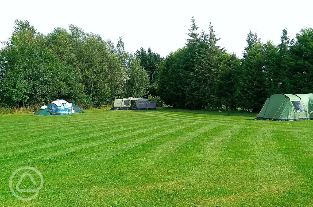 Non electric grass pitches