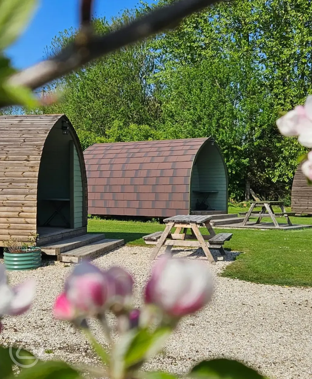Camping pods