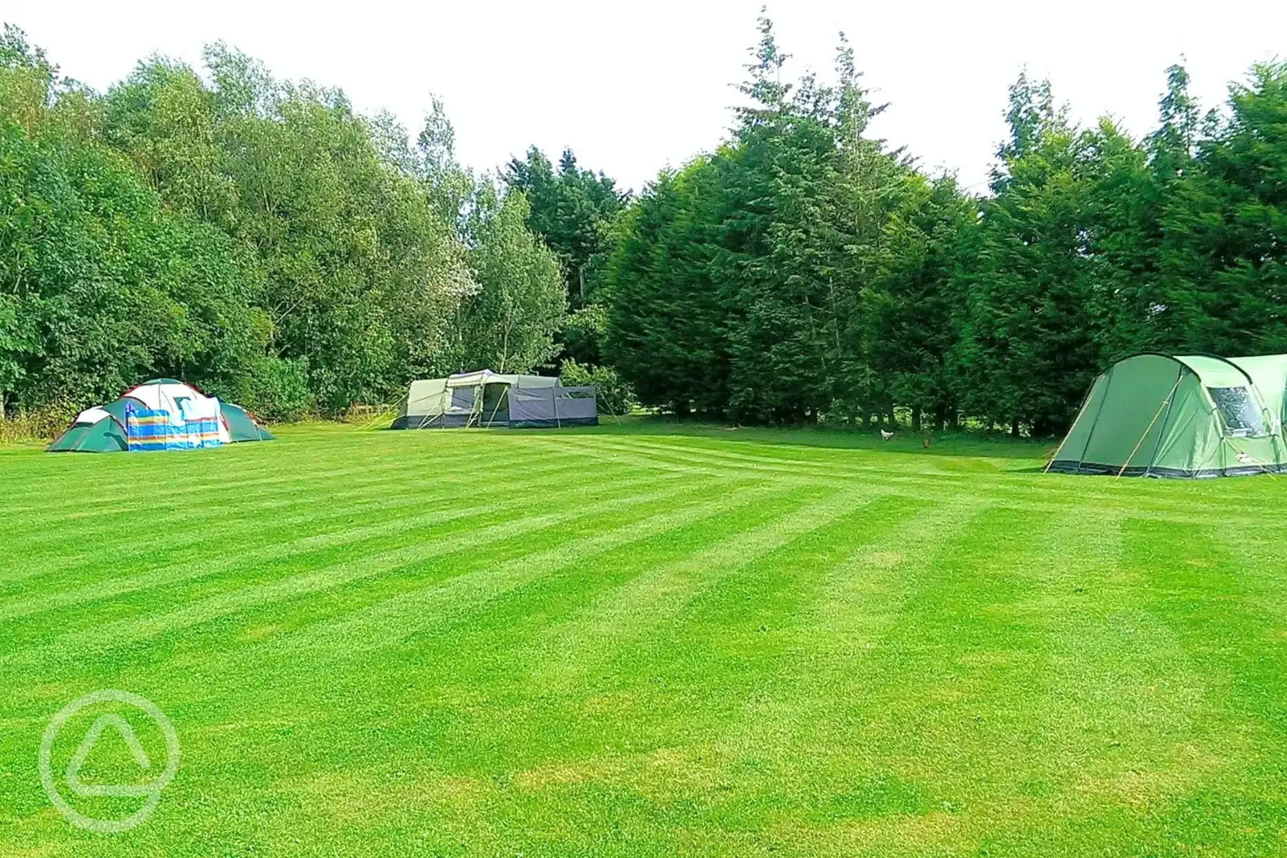 Non electric grass camping pitches
