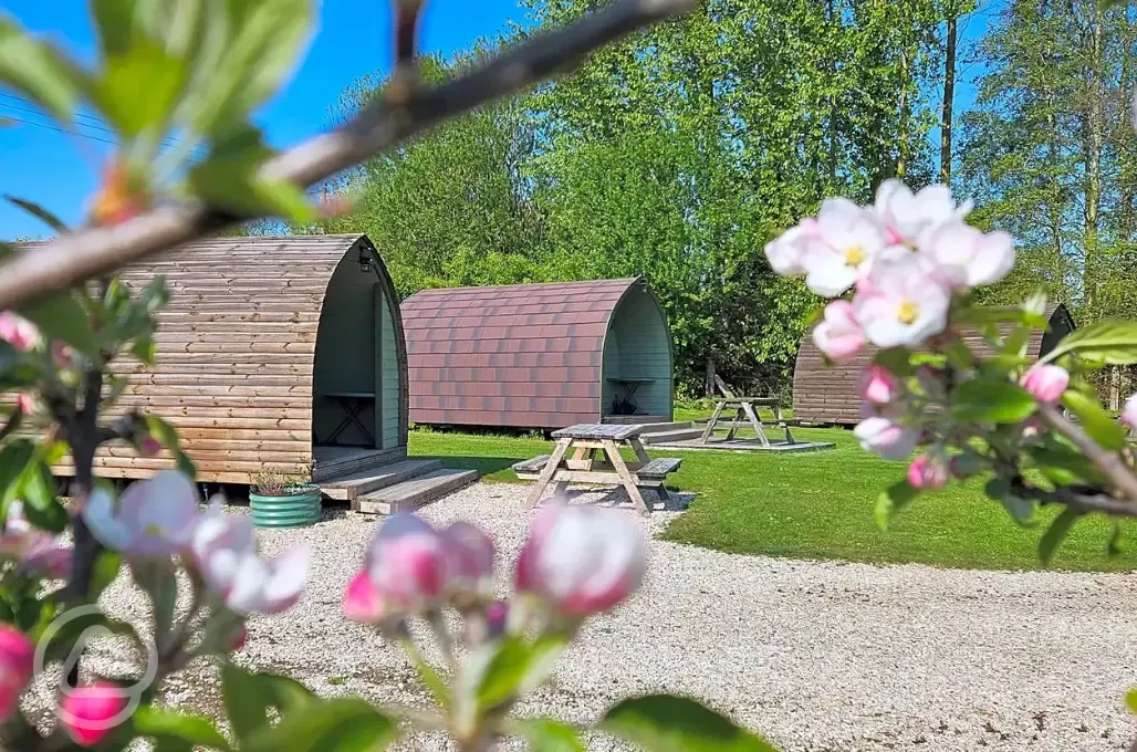 Camping pods