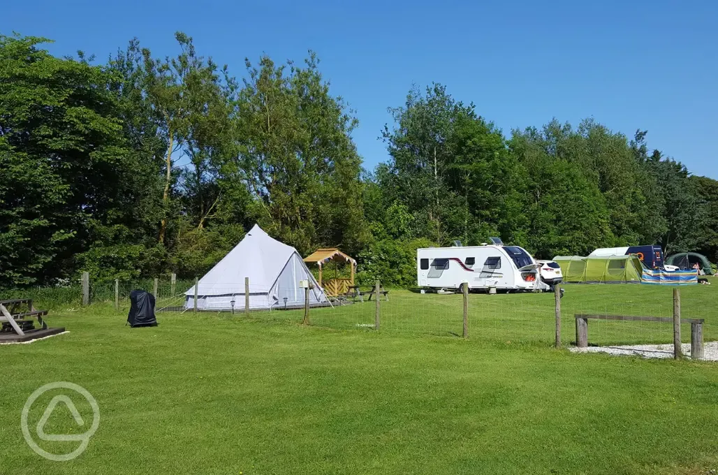 Bell tent and electric grass pitches