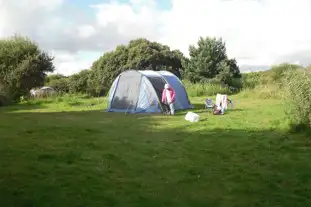 Yet-y-Gors Campsite and Fishery, Fishguard, Pembrokeshire