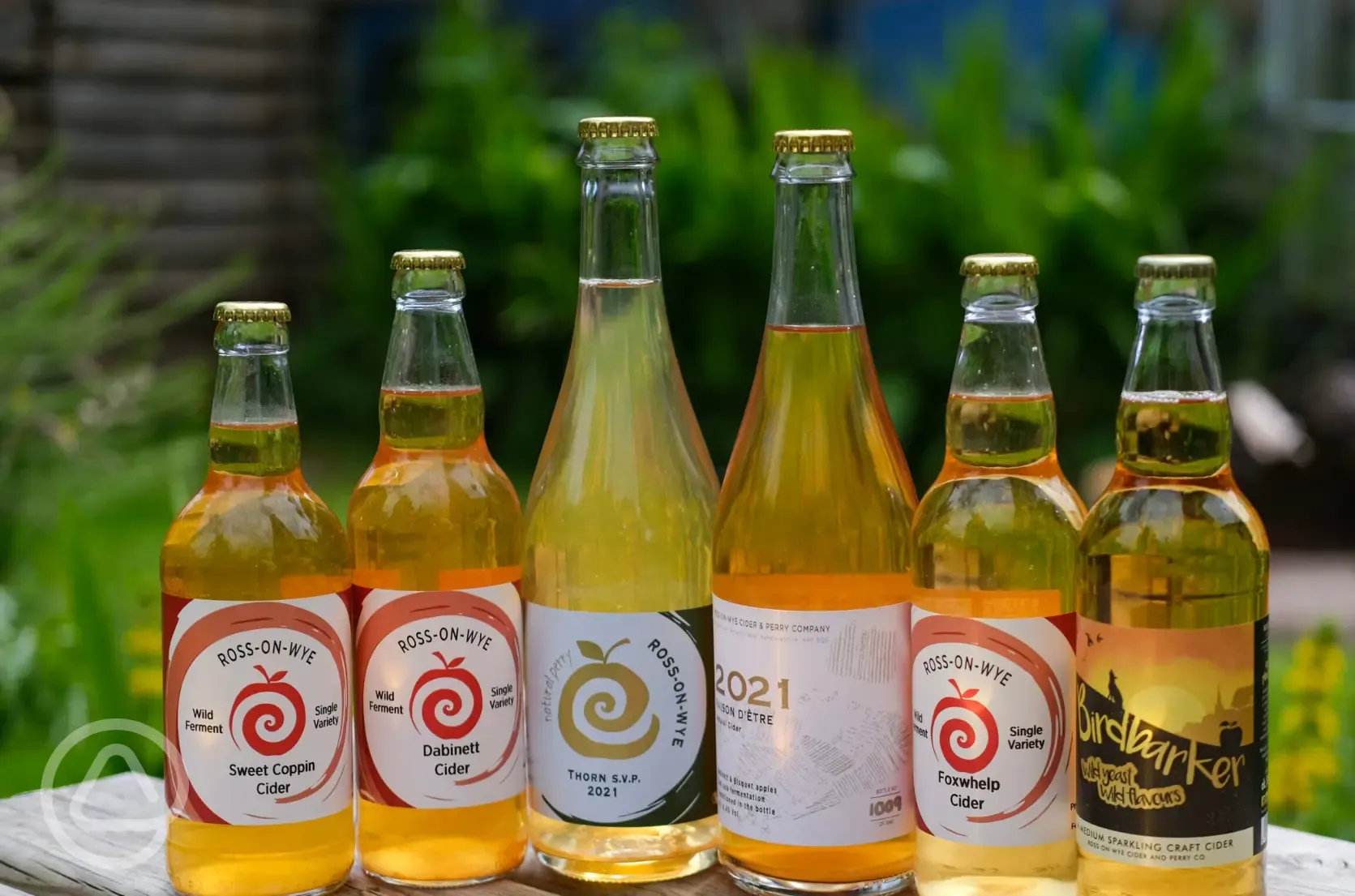 Cider shop - range of options from the orchard