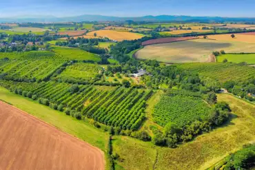 Aerial of the cider farm at The Yew Tree Inn