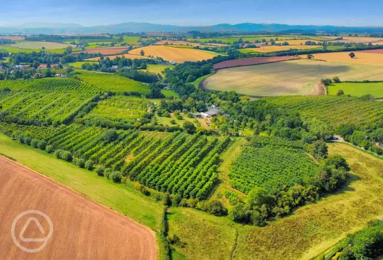 Aerial of the cider farm