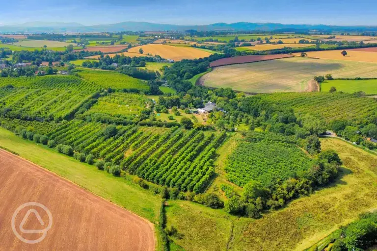Aerial of the cider farm