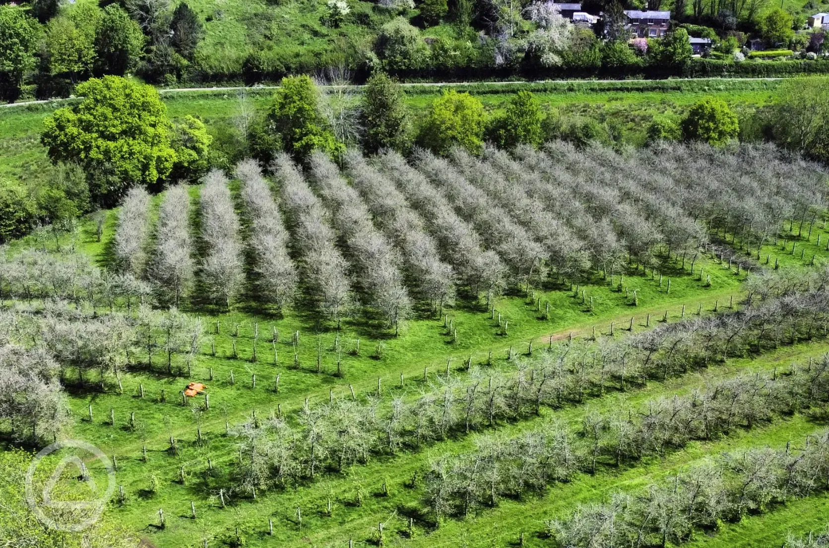 Aerial of the cider farm