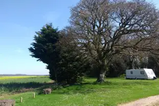 Bushes Farm Caravan Park, Stourpaine, Blandford Forum, Dorset (2.3 miles)