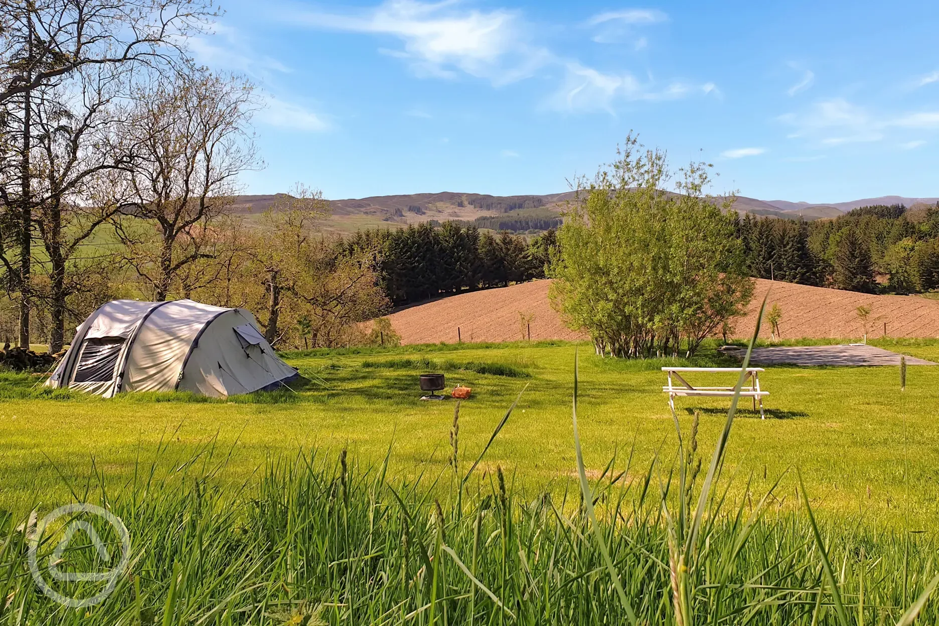 Medium non electric grass tent pitches