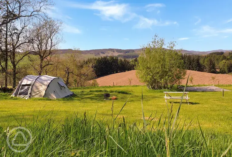 Medium non electric grass tent pitches