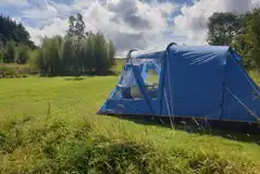 Medium non electric grass tent pitches