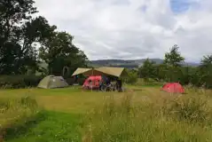 Medium non electric grass tent pitches