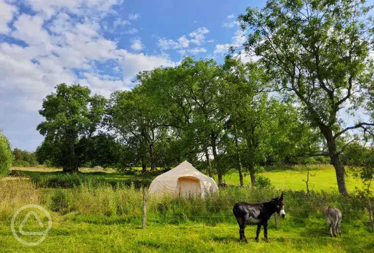 Bell tent