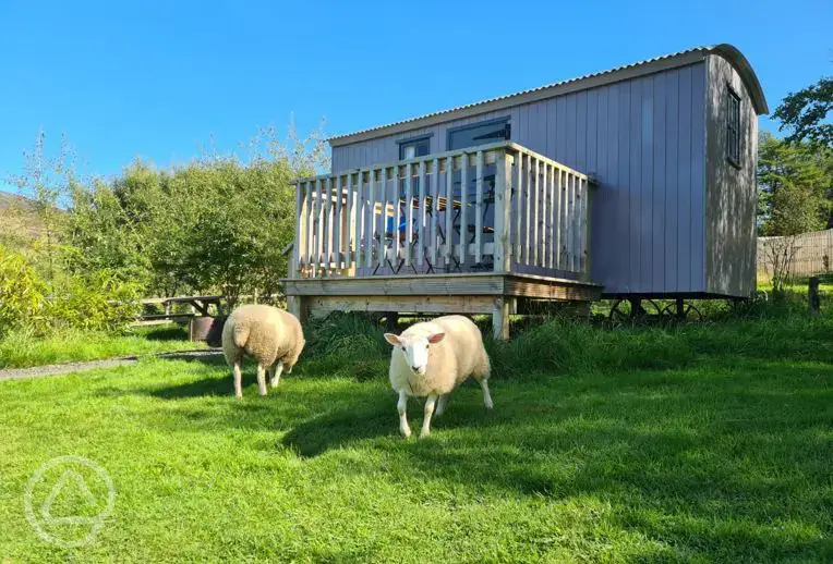 Tummelberry shepherd's hut