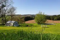 Medium non electric grass tent pitches