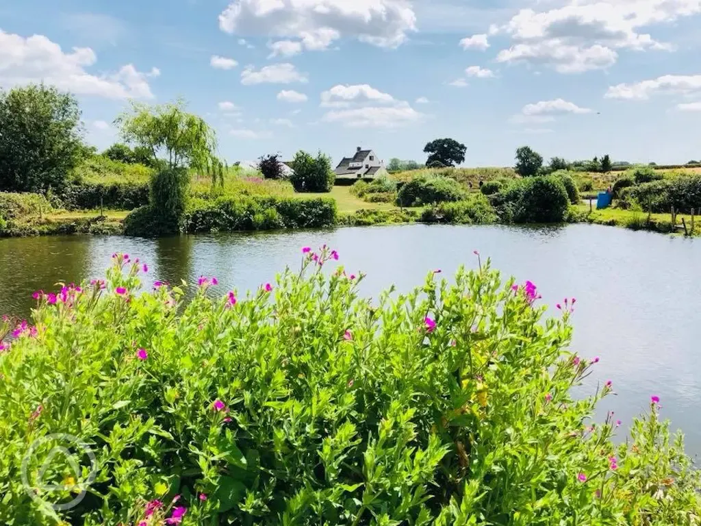 Onsite fishing lake with Bream, Tench, Roach, Rudd, Perch, Chub and Golden Orfe Onsite fishing lake with Bream, Tench, Roach, Rudd, Perch, Chub and Golden Orfe