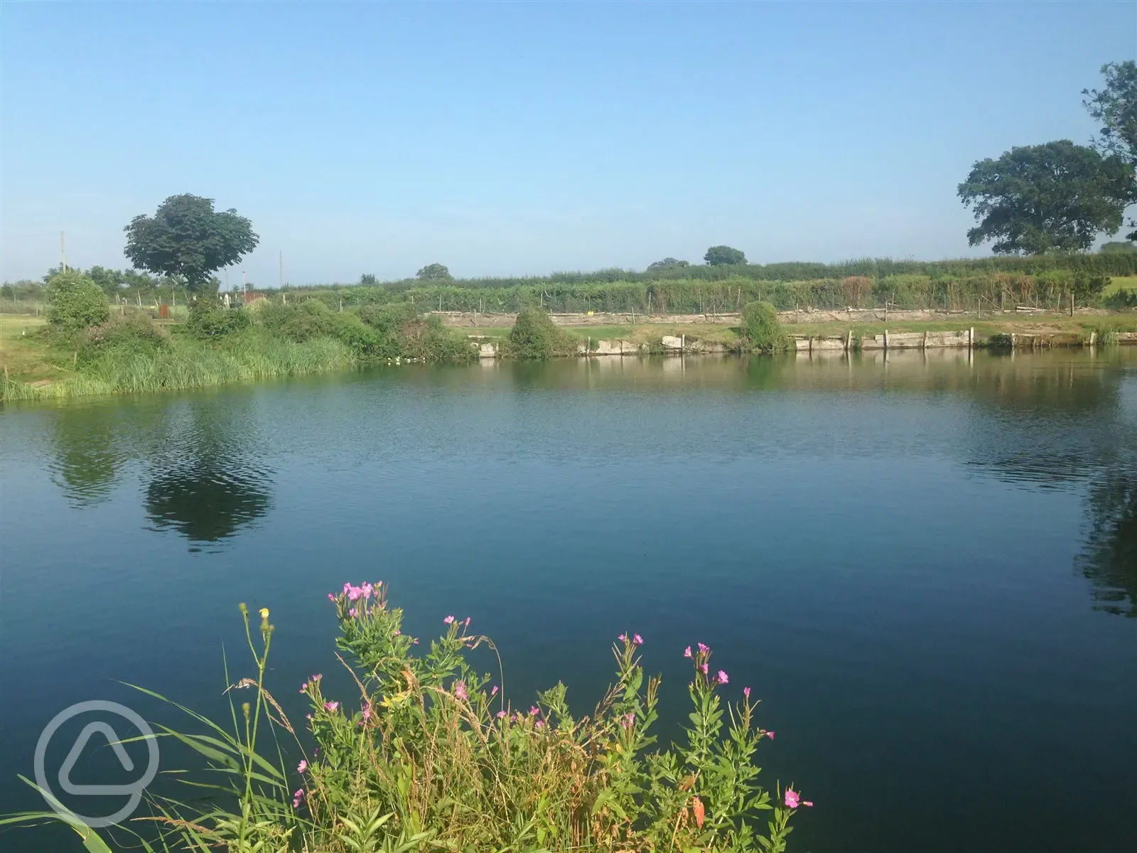 Fishing lakes stocked with mixed coarse fish at Field Farm Fisheries Fishing lakes stocked with mixed coarse fish at Field Farm Fisheries