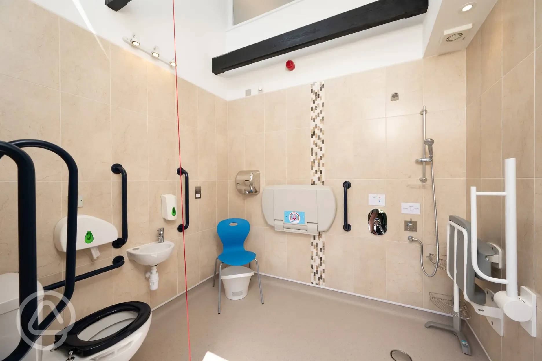 Accessible toilets and showers with shower chair, handheld shower and grab rails