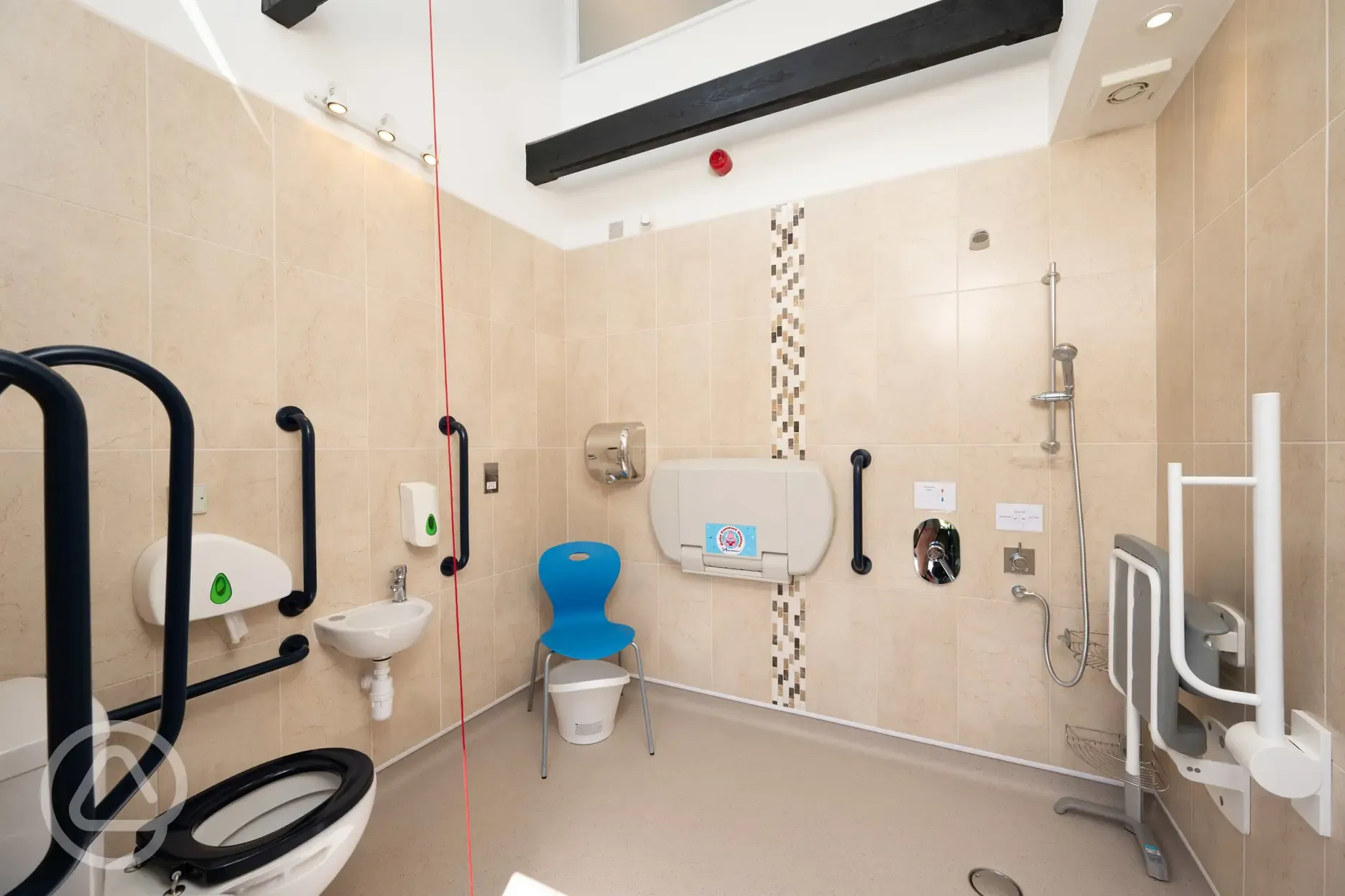 Accessible toilets and showers