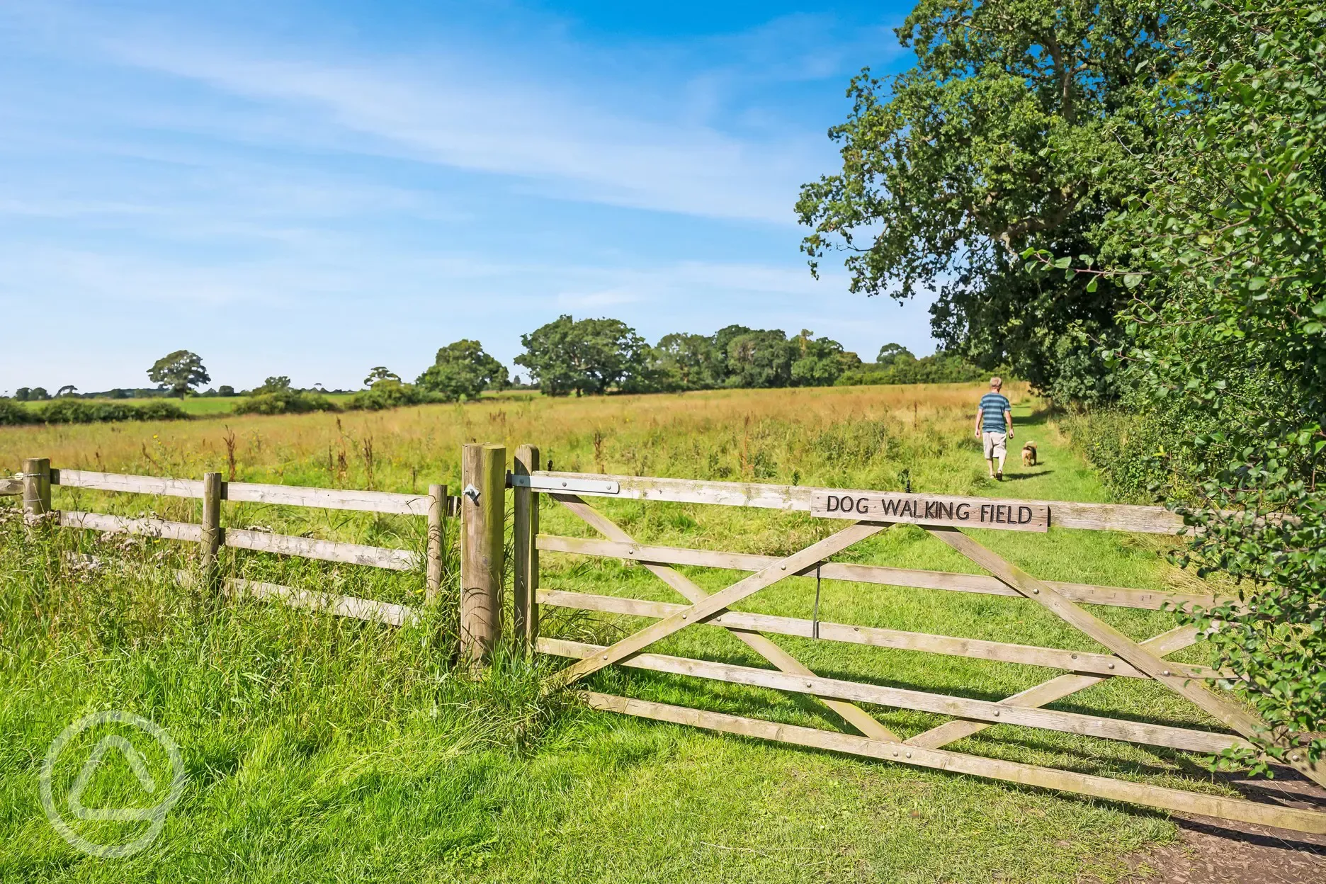 Enclosed dog walking field