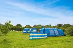 Tents on grass pitches at Haw Wood Farm Tents on grass pitches at Haw Wood Farm