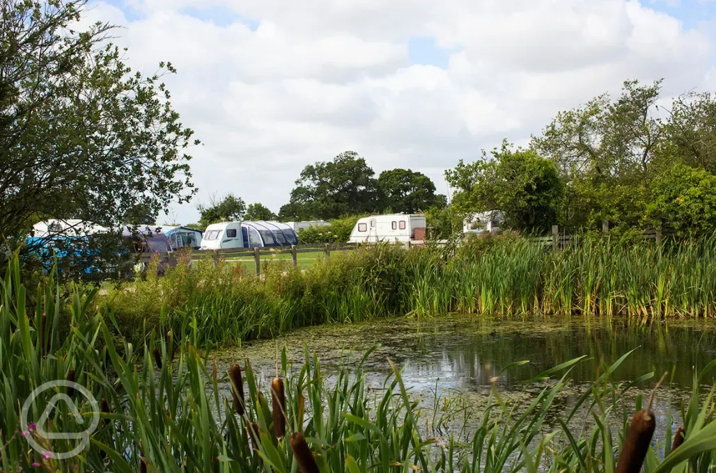 Electric grass pitches beside the duck pond