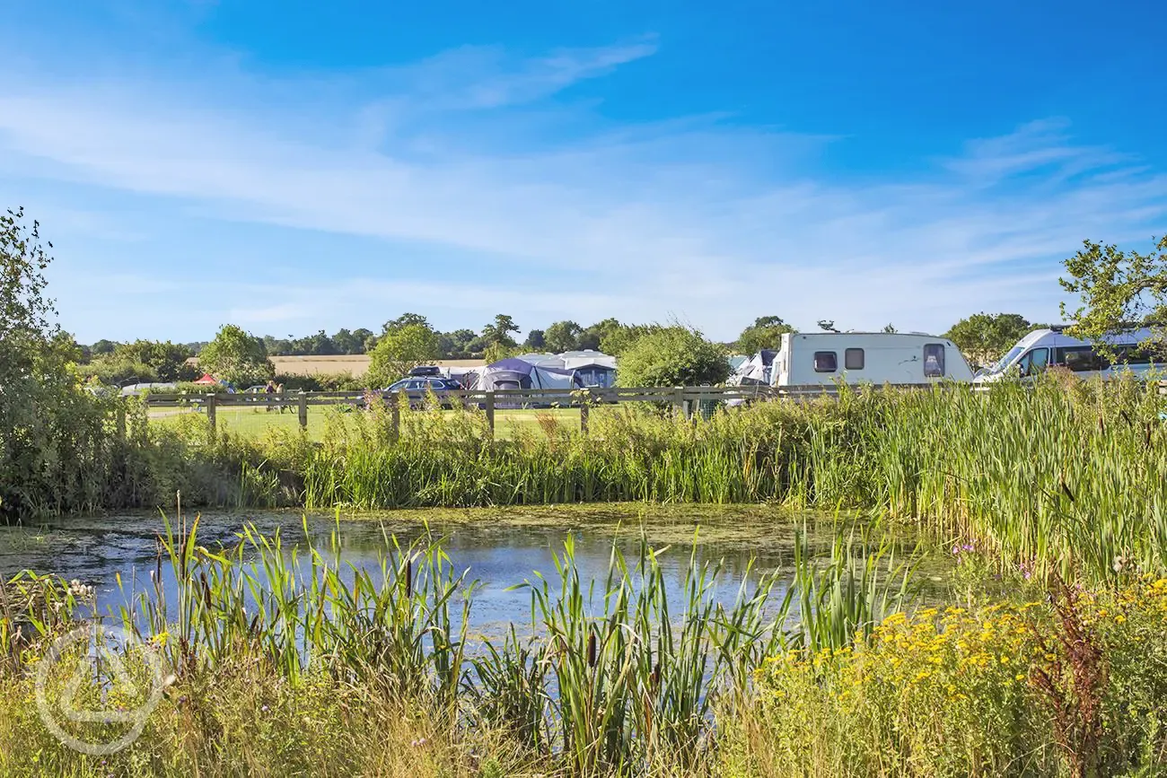 Electric grass pitches beside the duck pond