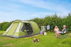 Dog friendly grass pitches at Haw Wood Farm Dog friendly grass pitches at Haw Wood Farm