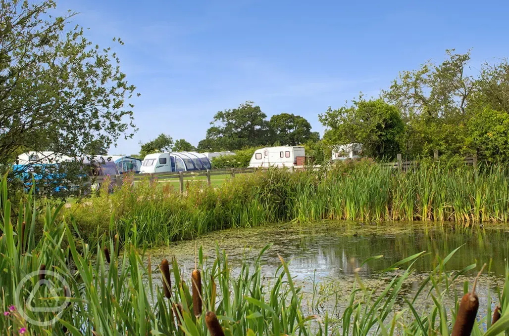Electric grass pitches beside the duck pond Electric grass pitches beside the duck pond