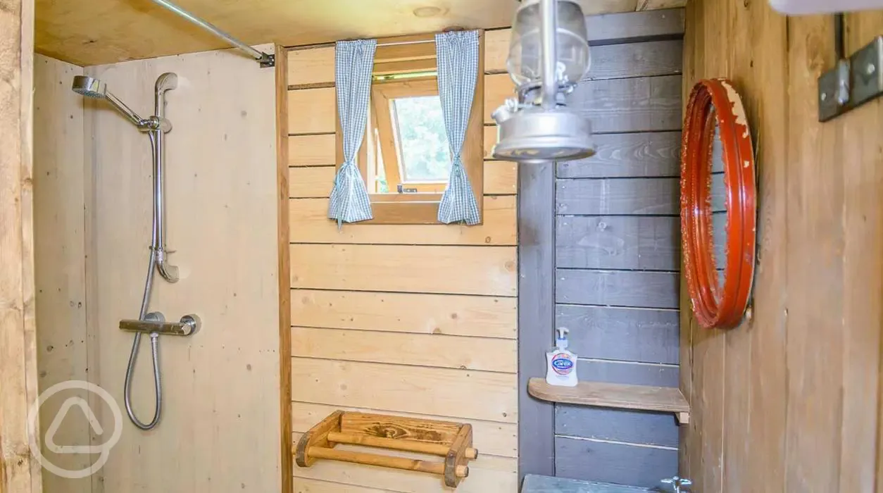 Log cabin bathroom