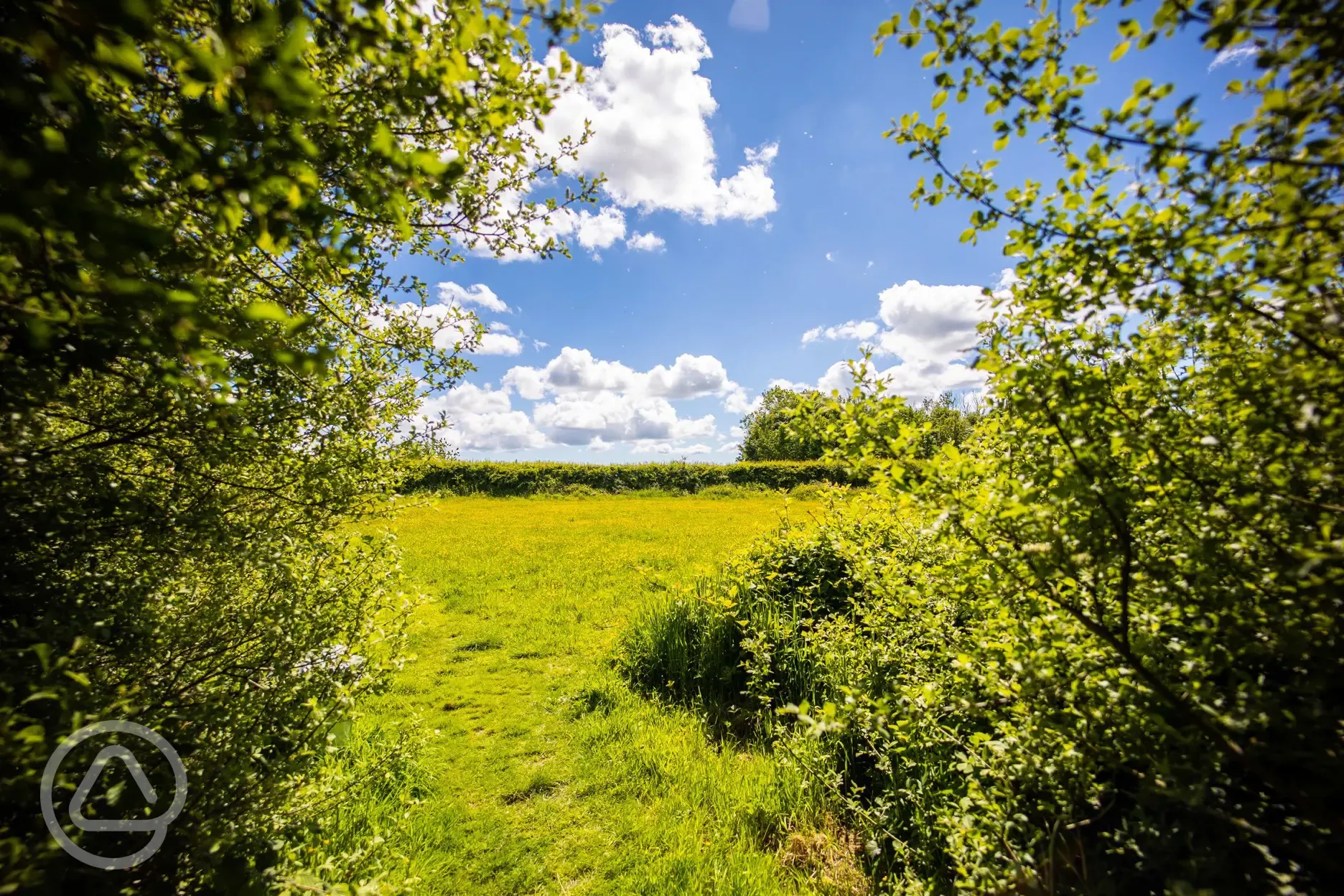 Enclosed dog walking area at Hungerford Farm