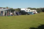Grass pitches