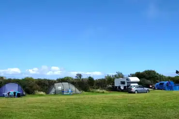 Grass pitches 