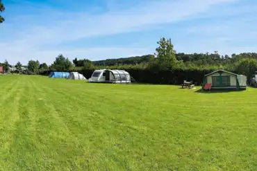 Grass pitches